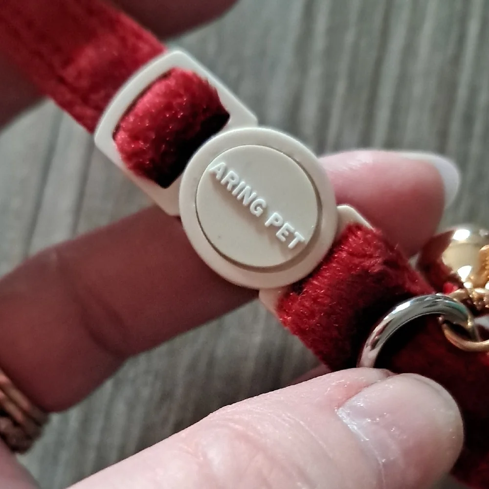Velvet Cat Collar Set - Burgundy and Forest Green